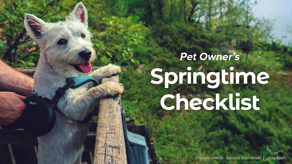 Pet Owner’s Springtime Checklist